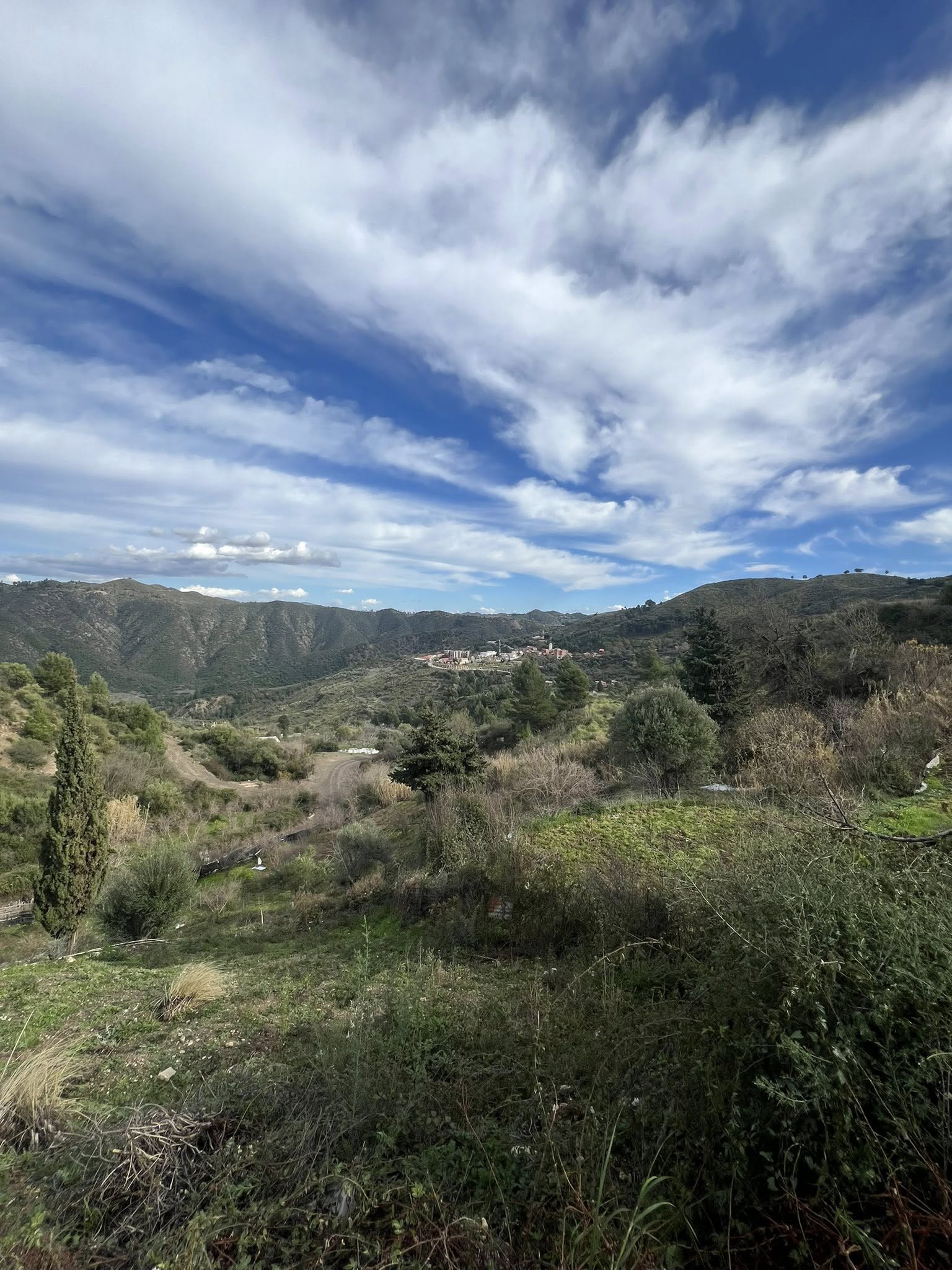Panoramic view of green valley with mountains